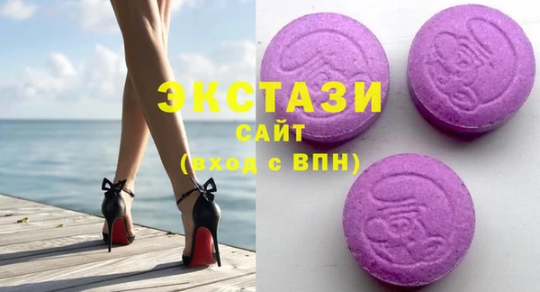 ECSTASY Богородицк