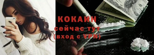 спайс Богданович
