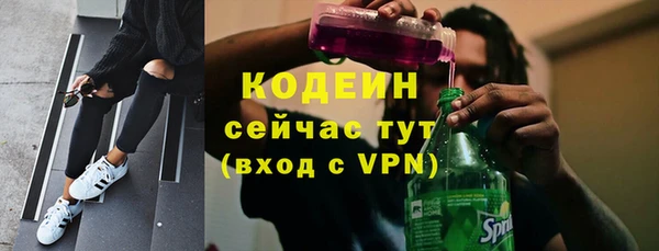 спайс Богданович