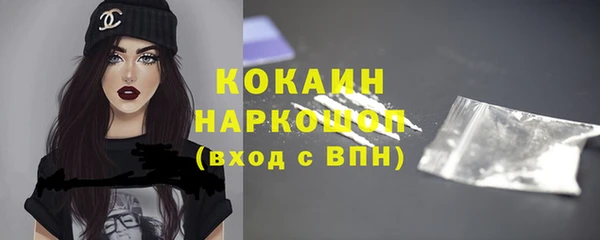 спайс Богданович