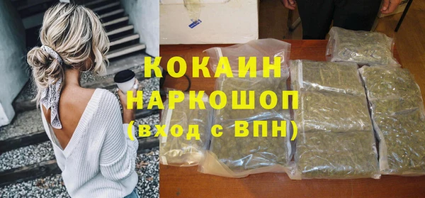 спайс Богданович