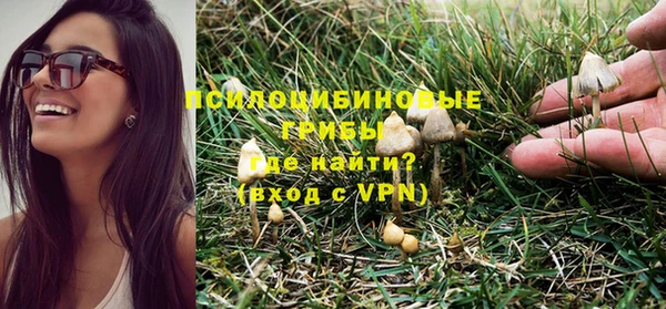 спайс Богданович