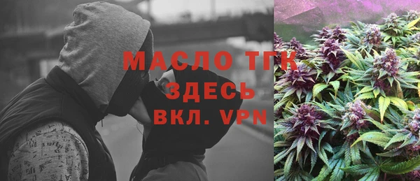 ECSTASY Богородицк