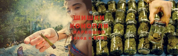 МДПВ Нея