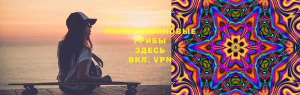 спайс Богданович